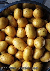 Frühkartoffeln h.