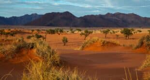 Namibia, Wüste