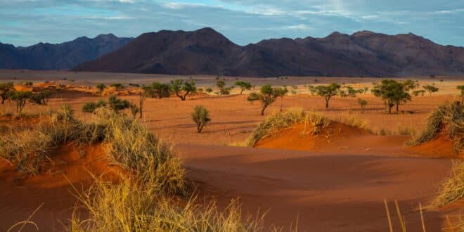 Namibia, Wüste